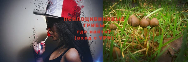 трава Володарск